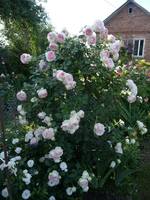 VFL.RU - ваш фотохостинг