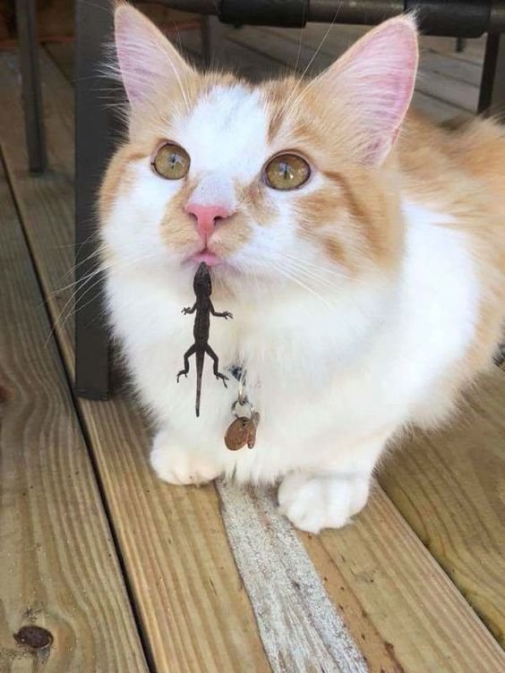 DhoOTMeWkAAa2JQ