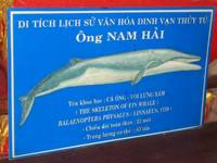 ВьетнамОК (386)