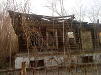 VFL.RU - ваш фотохостинг