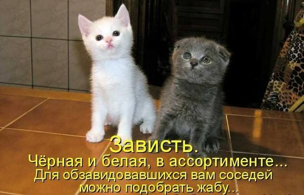 http://images.vfl.ru/ii/1531764704/20fdcbdb/22509801_m.jpg