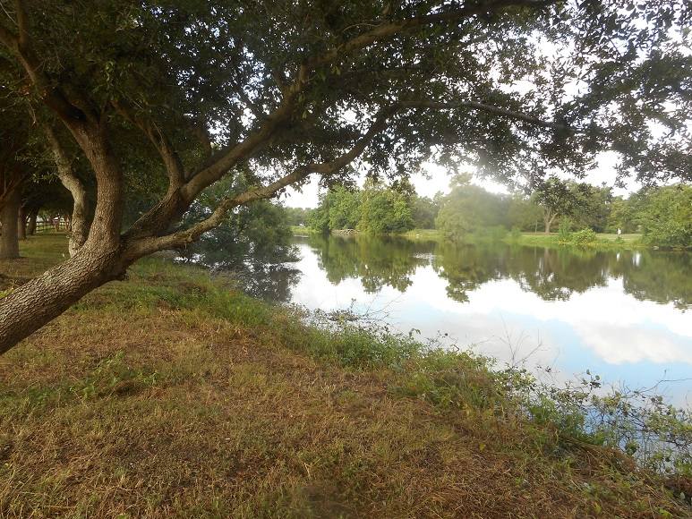 Водоемы краснодарского. Водоемы Кубани. Пруды Краснодарского края. Водоёмы Краснодарского края. Водоемы Краснодарского края фото.