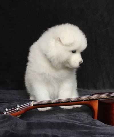 Голубой 2