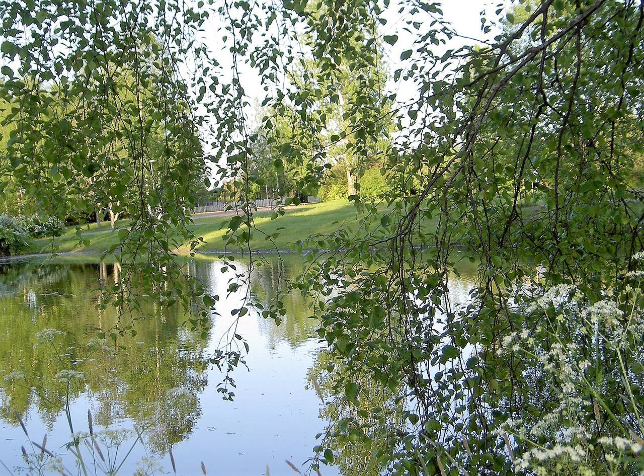 kesä - 2006 (4)