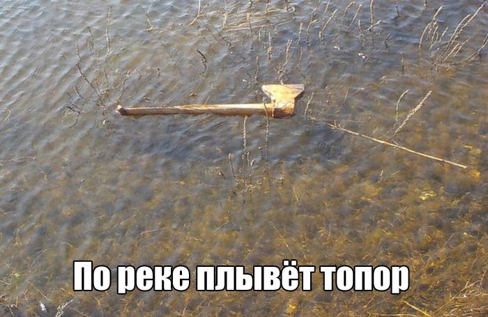 podborka dnevnaya 01