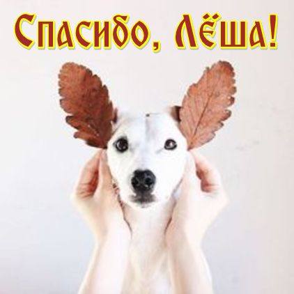 VFL.RU - ваш фотохостинг