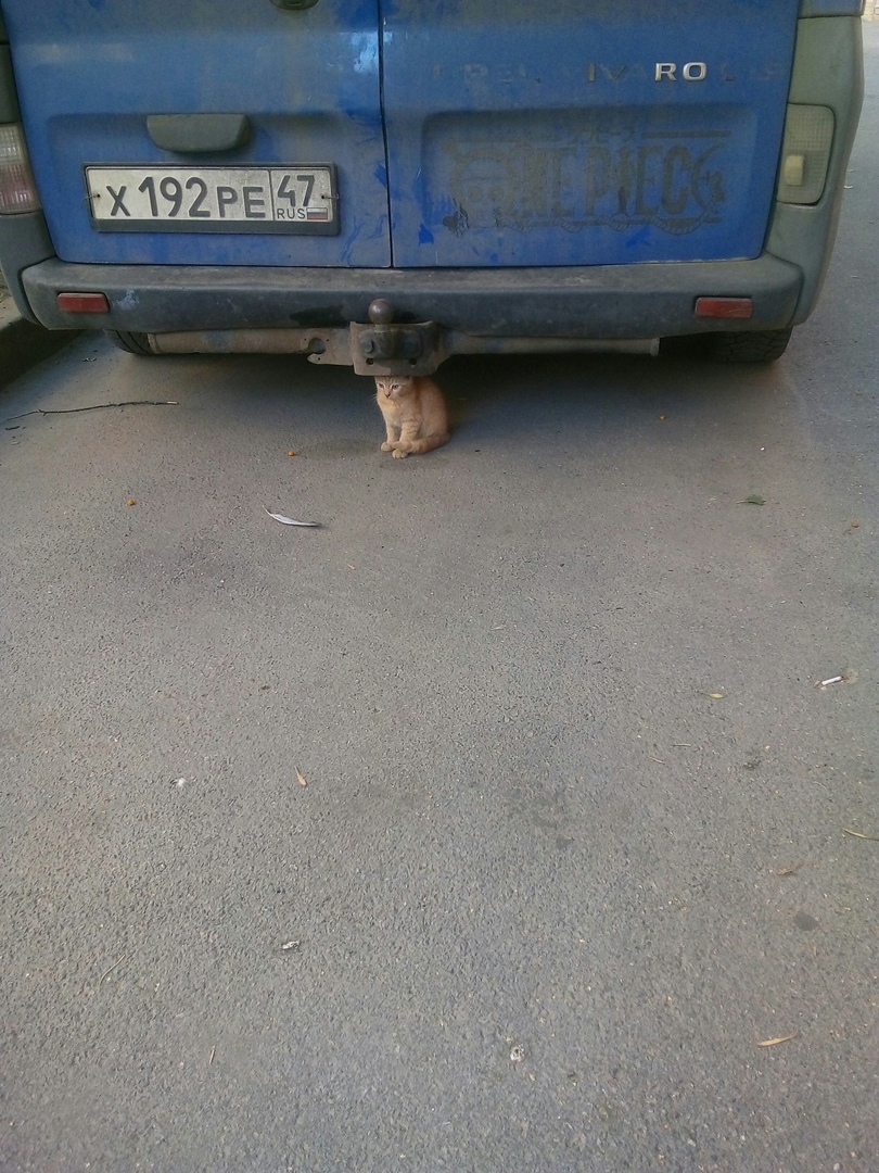 Сирота1