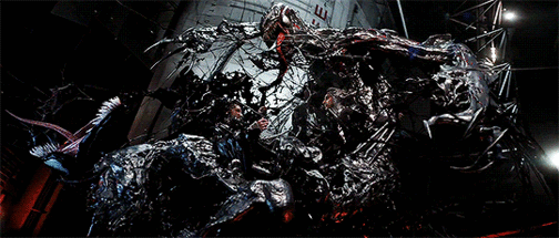22711446.gif