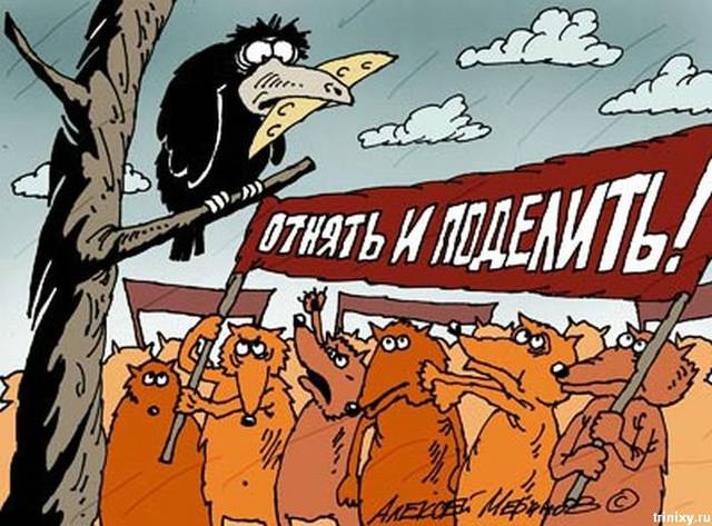 karikatury 16