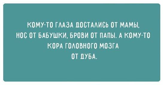 кора от дуба