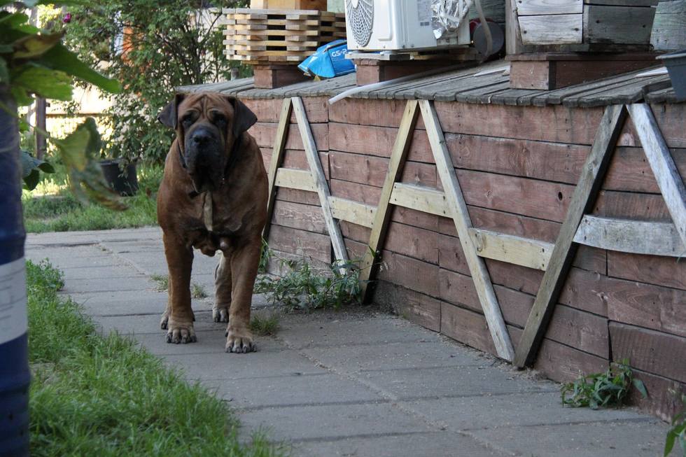 VFL.RU - ваш фотохостинг
