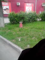 VFL.RU - ваш фотохостинг