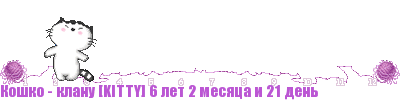 22861081.gif