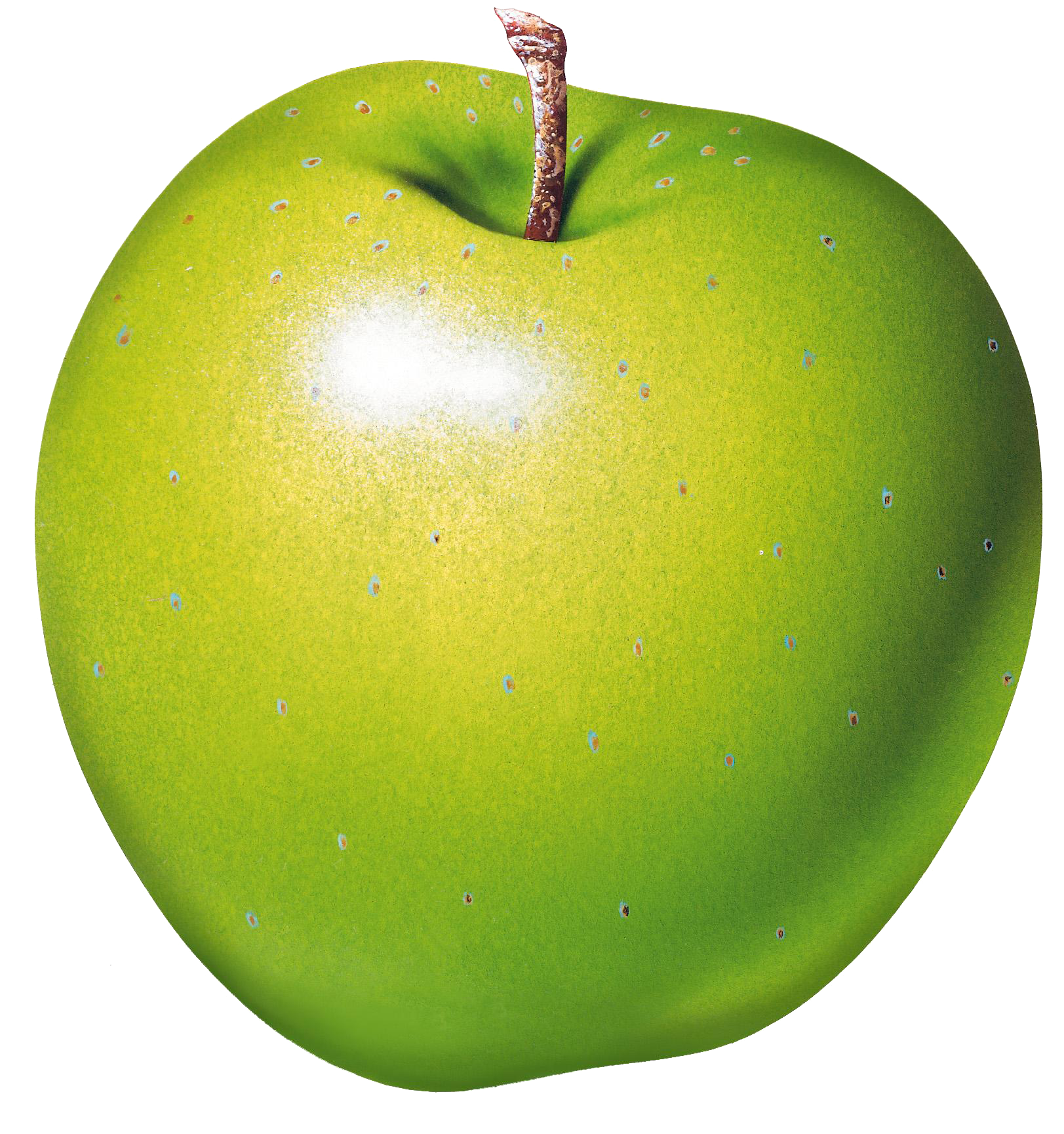 Яблоко плодовый. Грин Эппл Green Apple. Яблоки зеленые. Зеленое яблоко на прозрачном фоне. Яблоко на белом фоне.