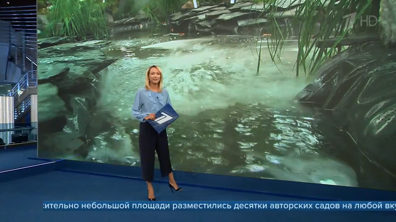 Без названия cut.avi snapshot 00.19 [2018.08.19 06.57.40]