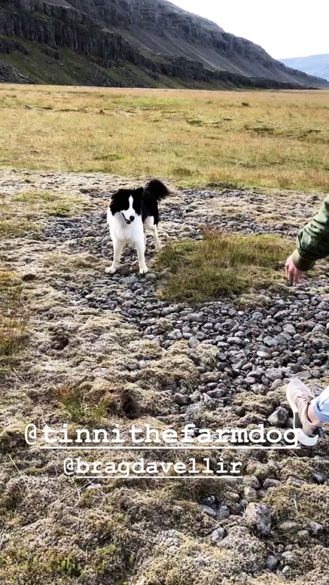 Georg Listing IG-Story #5 (19.08.18, Iceland)