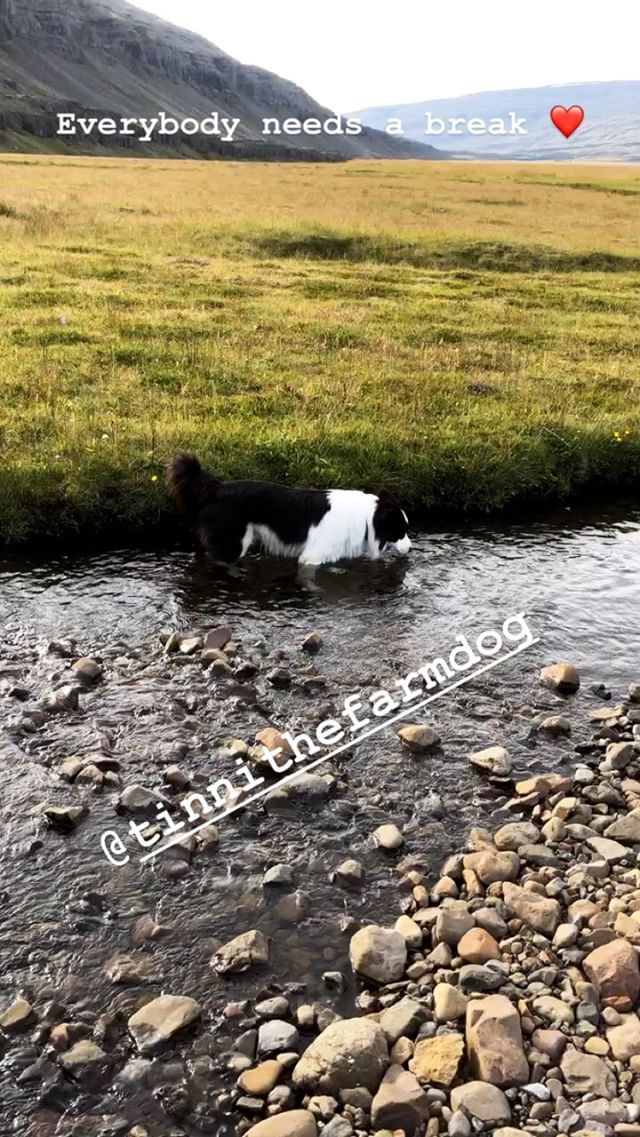 Georg Listing IG-Story #6 (19.08.18, Iceland)