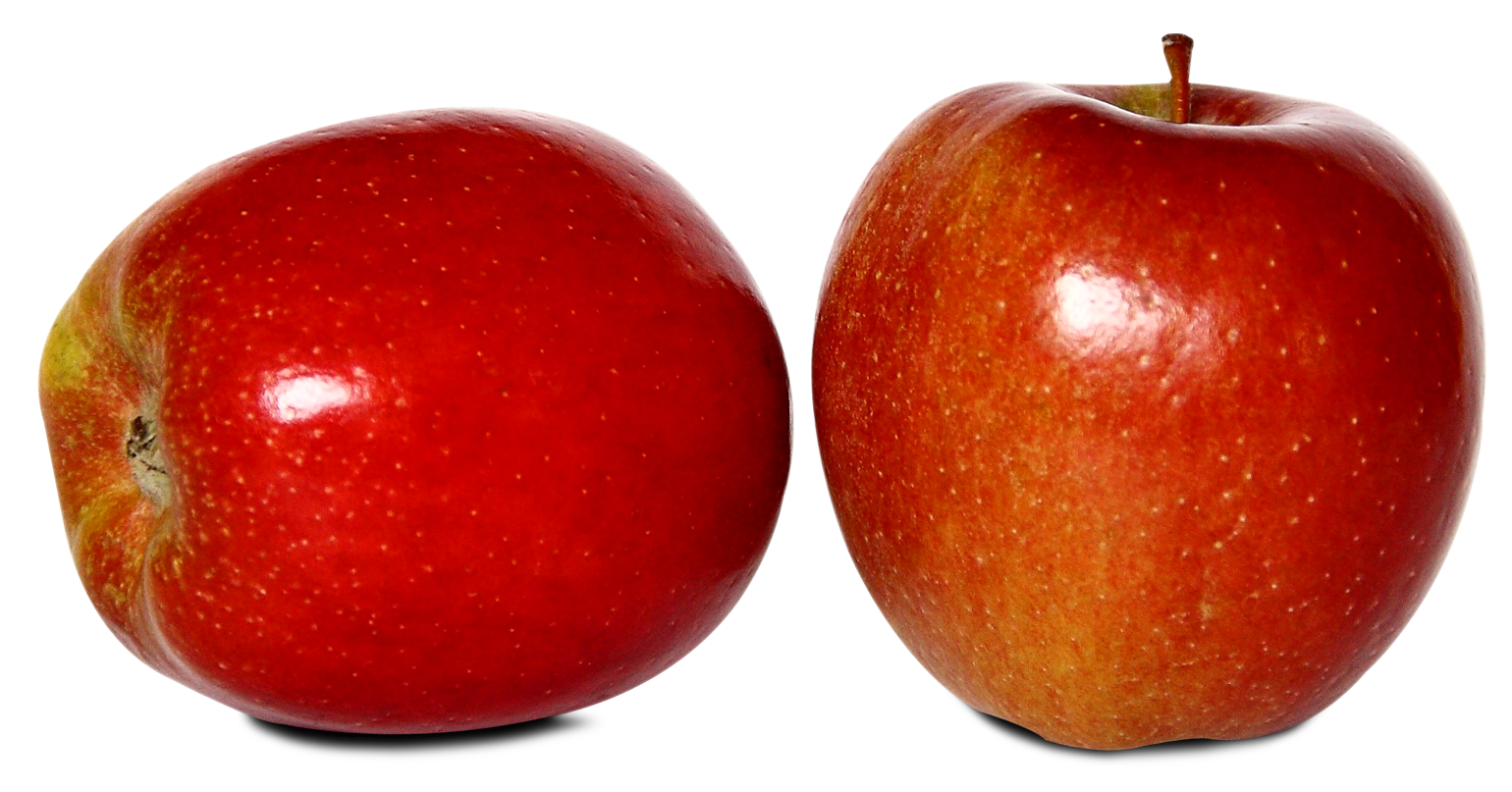 apple-kr (155)