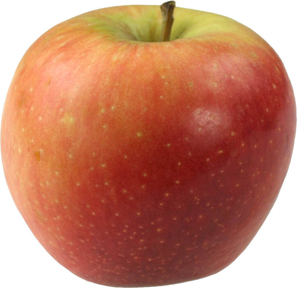 apple-kr (244)