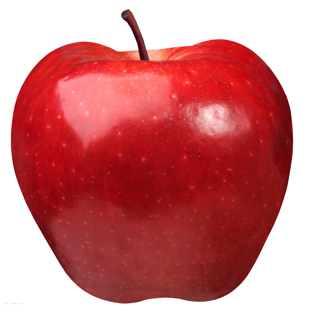 apple-kr (246)