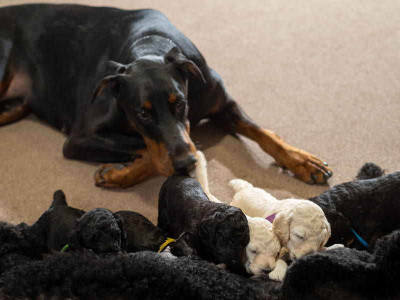 2018-08-06, 22.22.20, 23