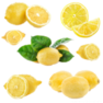 k-lemon (83)