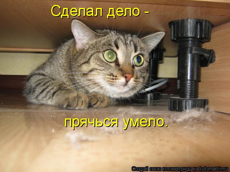 скр