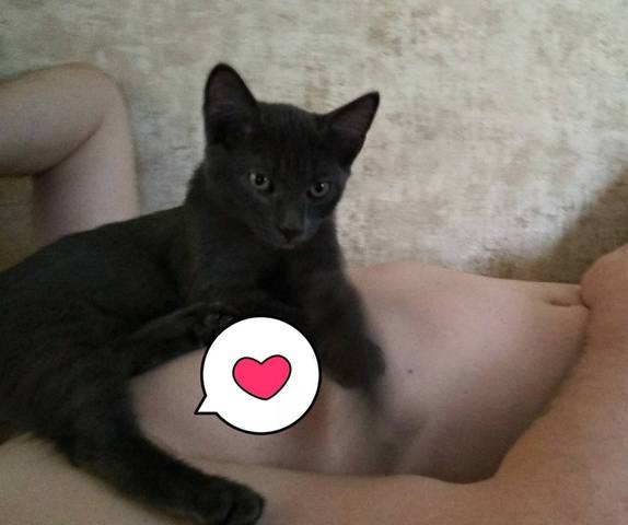 Робин 08 18 7