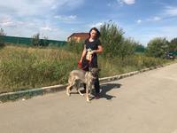 VFL.RU - ваш фотохостинг