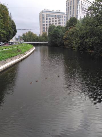 http://images.vfl.ru/ii/1535622039/9f284e1a/23118808_m.jpg