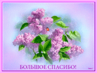 спасибо большое