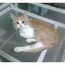 image (5)