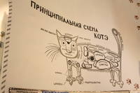 VFL.RU - ваш фотохостинг