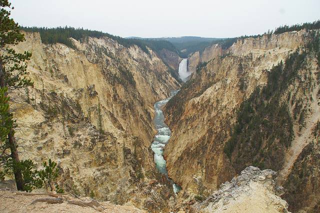 Каньон р. Йеллоустоун. Фото Морошкина В.В.