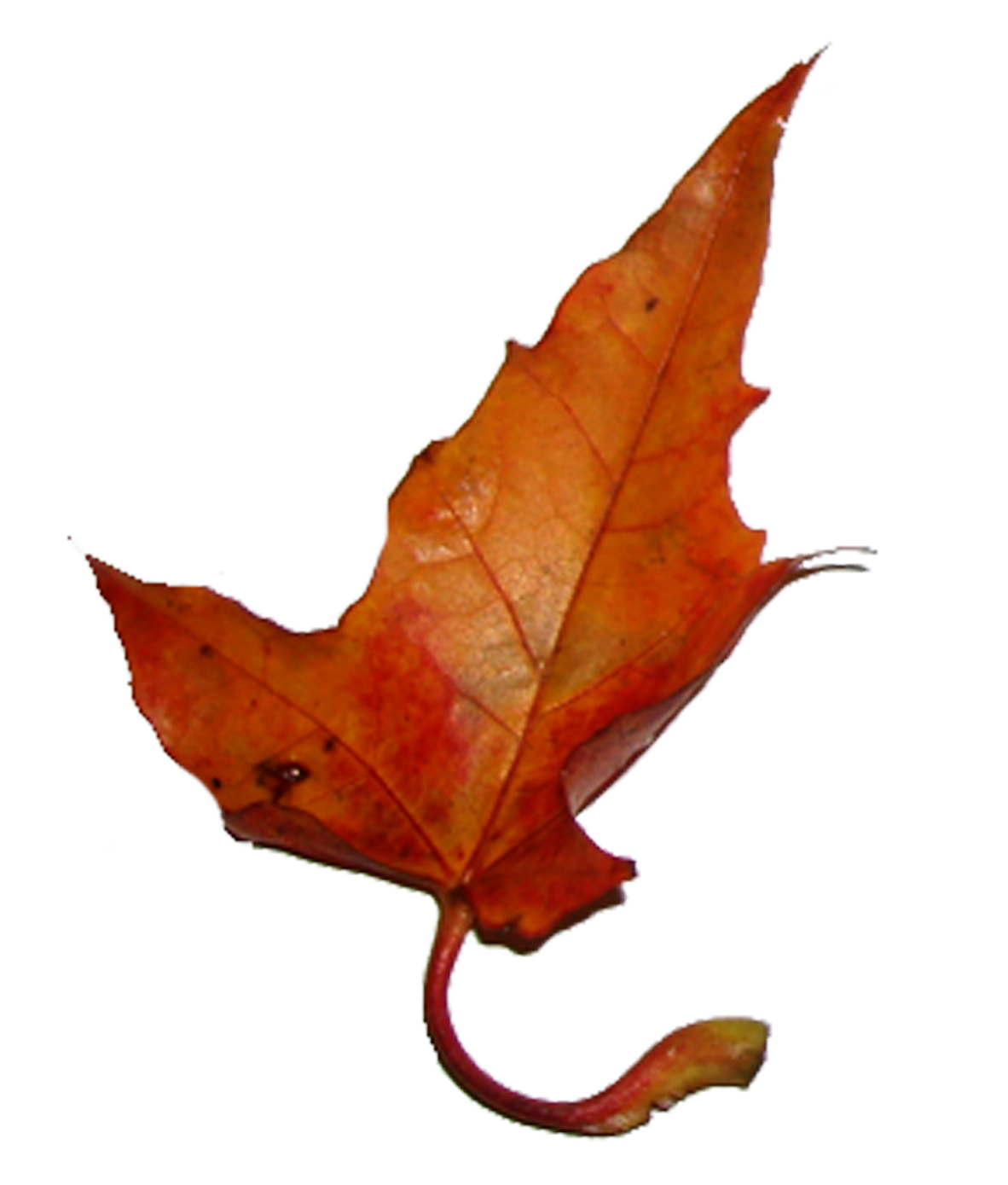 k list osen 01 (329)