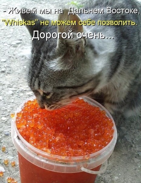 image))