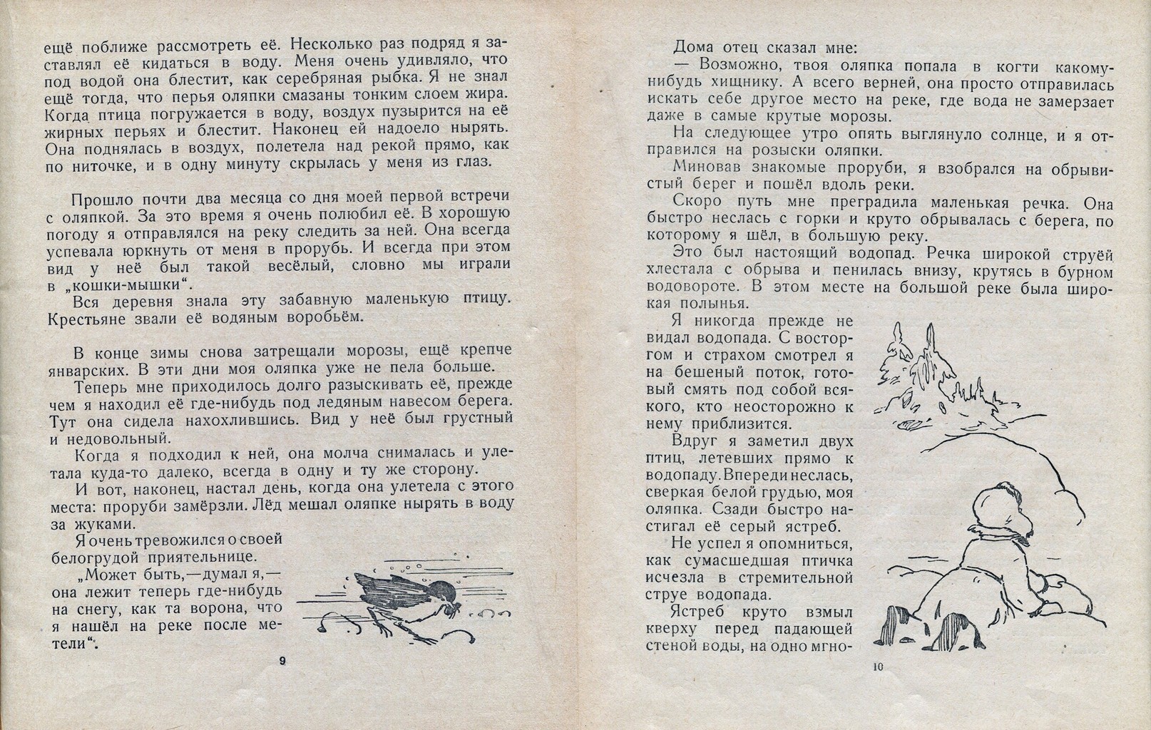 Я нарисую на снегу текст. Виталий Бианки сумасшедшая птица. Виталий Бианки оляпка. Рассказ сумасшедшая птица. Рассказ Бианки сумасшедшая птица.