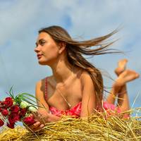 VFL.RU - ваш фотохостинг