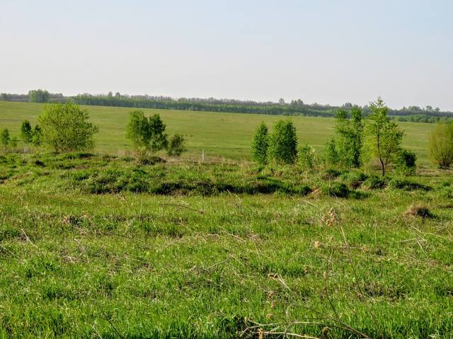 VFL.RU - ваш фотохостинг VFL.RU - ваш фотохостинг