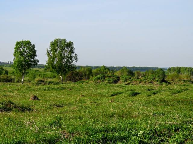 VFL.RU - ваш фотохостинг VFL.RU - ваш фотохостинг