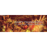 happy thanksgiving cover 19
