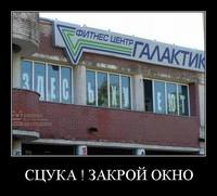 image-1.jpeg
