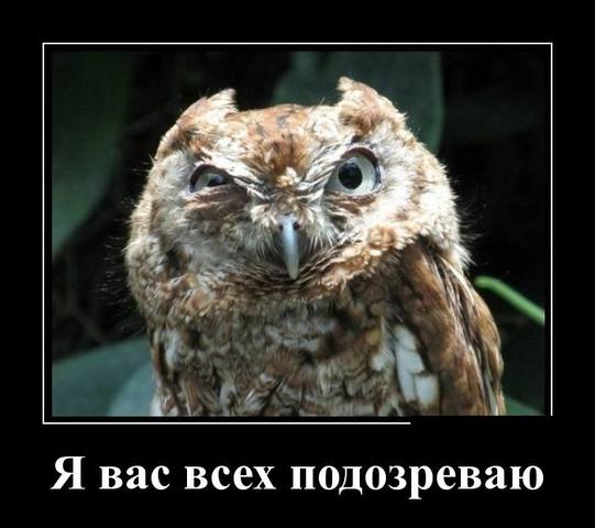 VFL.RU - ваш фотохостинг