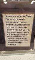 Dpddg4HW4AYmAzC[1]