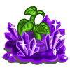 XeoWV