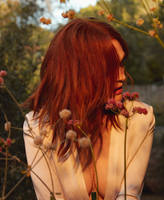 http://images.vfl.ru/ii/1539590240/355f8604/23802854_s.jpg