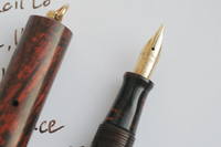 Eagle pen 002