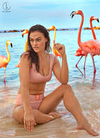 http://images.vfl.ru/ii/1539725176/a0f1f19f/23833282_s.jpg