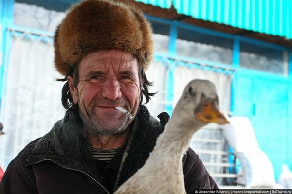 VFL.RU - ваш фотохостинг