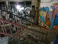 269 IMG 6871